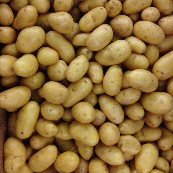 Potato S