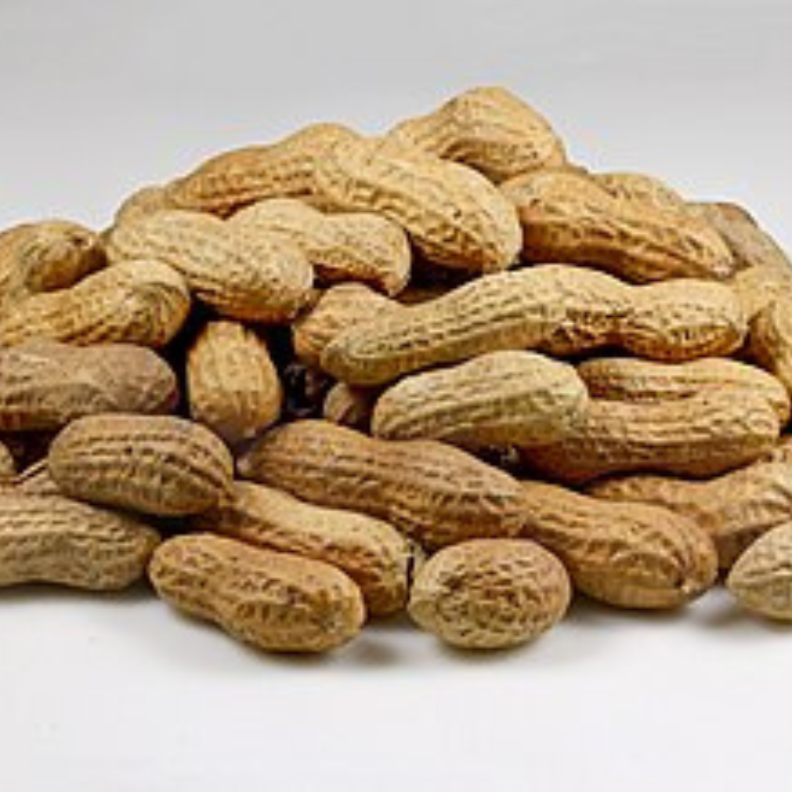 17 Roasted Peanuts with Shell G - Image 1